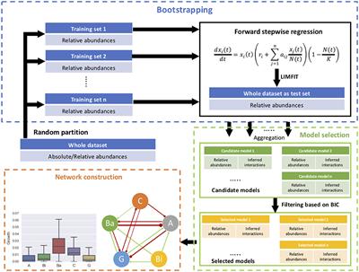Inference of Significant Microbial Interactions From Longitudinal Metagenomics Data